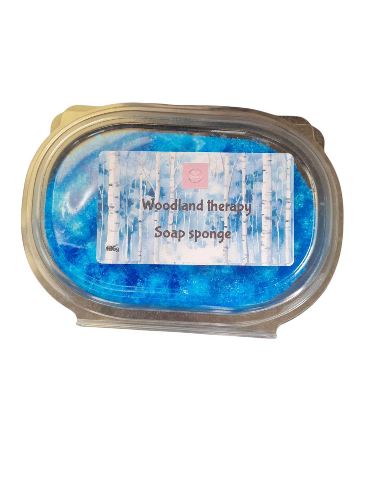 Soap sponge