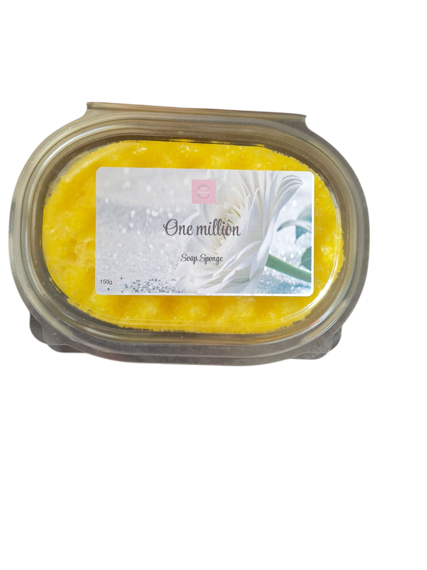 Soap sponge